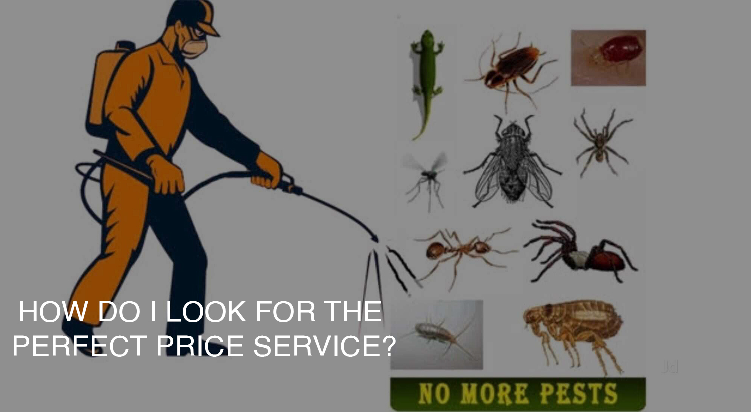 Ez Bed Bug Removal Companies